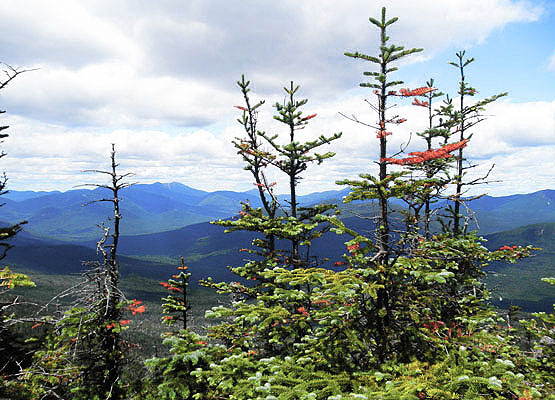 East Osceola Mountain, NH New Hampshire Hiking NH 4000 Footers